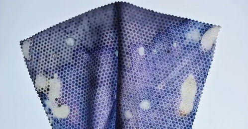 Spinexpo 挖掘前沿纺织科技，以针织重塑未来生活方式