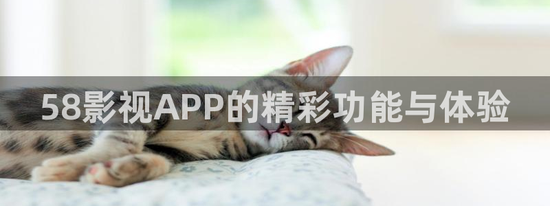 桔子mv电影在线观看免费：58影视APP的精彩功能与体验