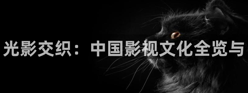 桔子照片