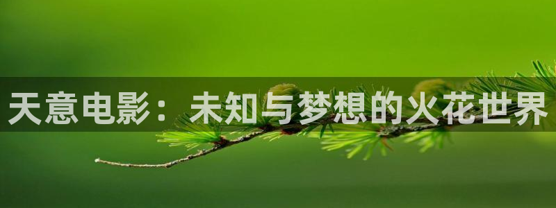 桔子网站视频