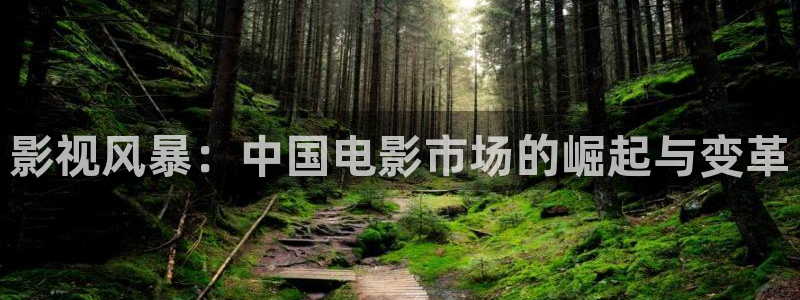 桔子app视视频在线