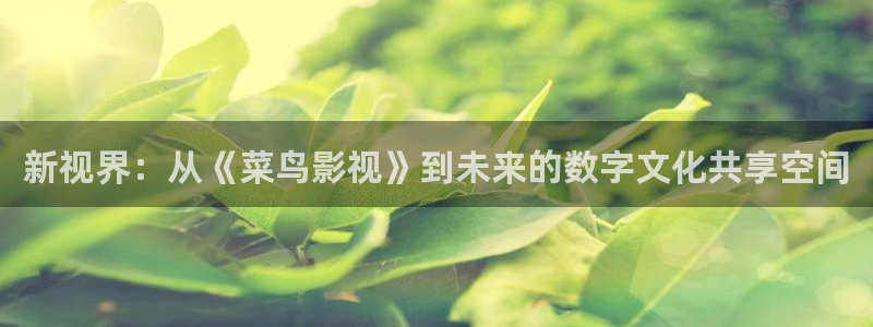 桔子电影网手机