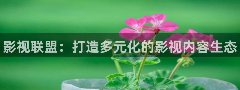 桔子免费视频