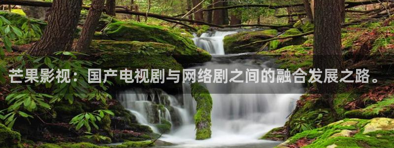 农村桔子最新视频播放