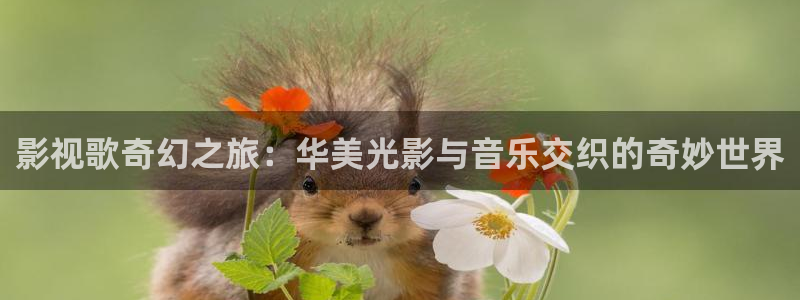 www.桔子视频