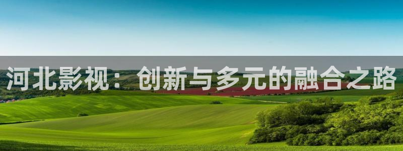 桔子视频下载地址